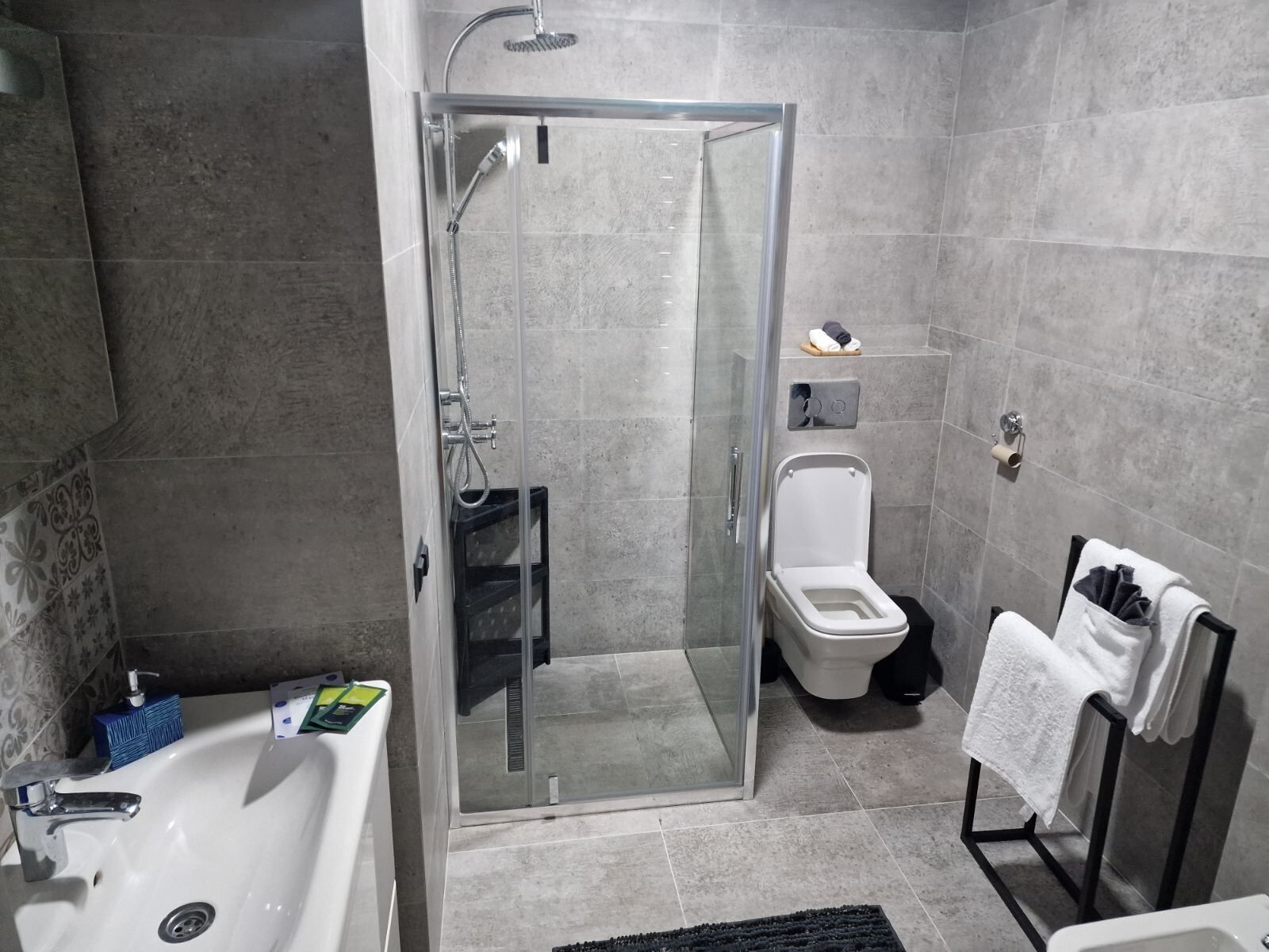 Shower, hair dryer, bidet, towels