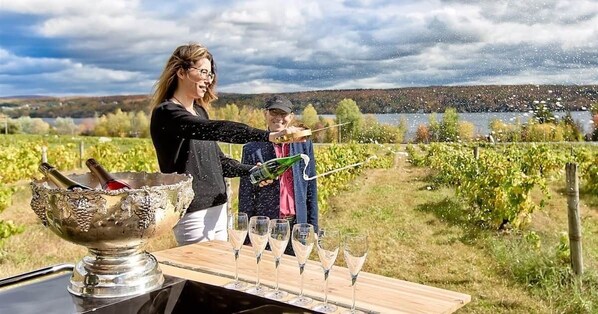 A vineyard setting with a table displaying wine glasses and bottles, a large silver bowl, and a scenic view of the countryside. - Rowing, Waterfront, Spa (Le Val-Saint-François Regional County Municipality)