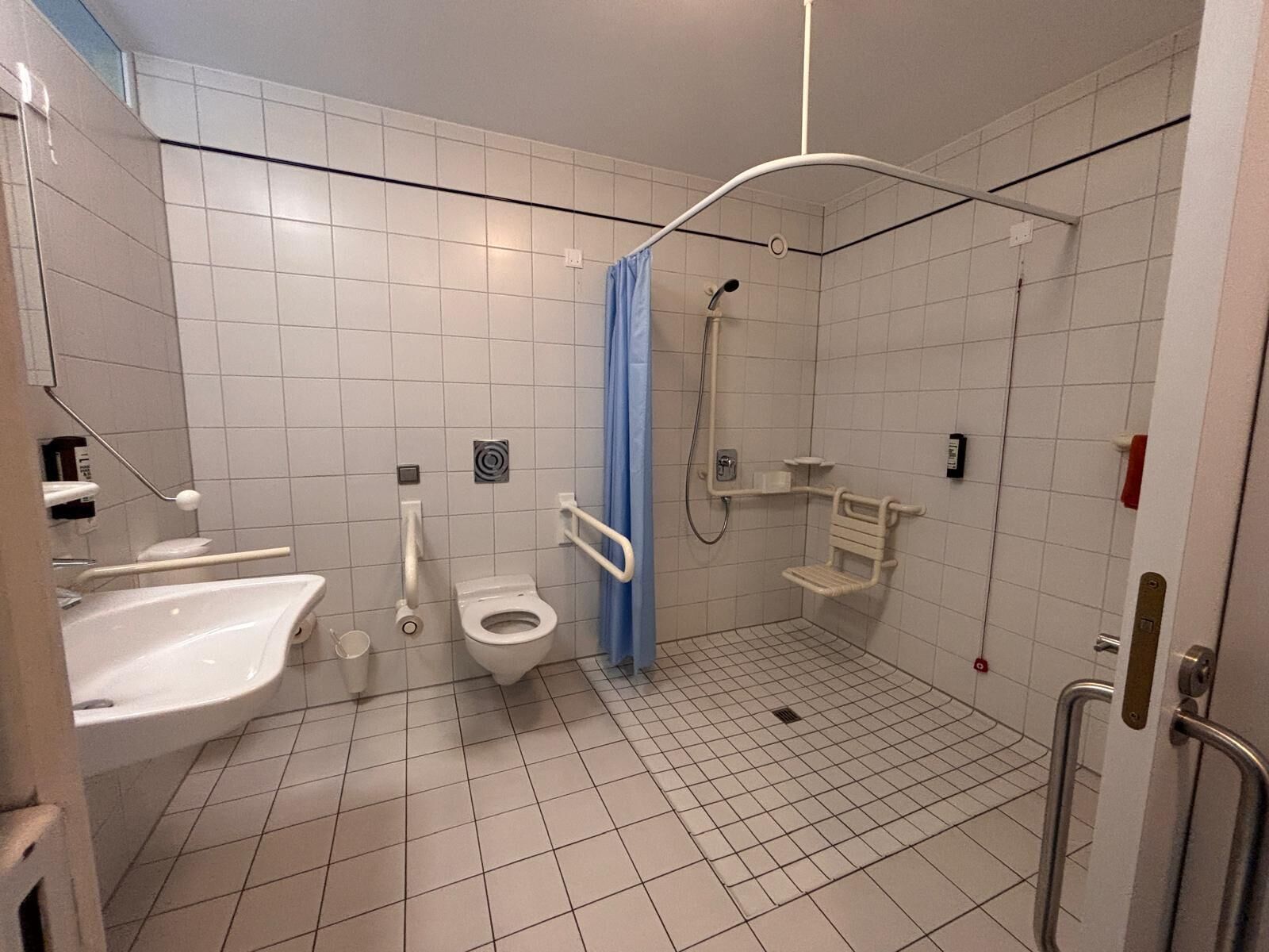 Une salle de bain avec douche, toilettes et lavabo.