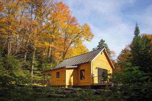 The Pines Cabin | New Tiny Home Near Mt Snow!