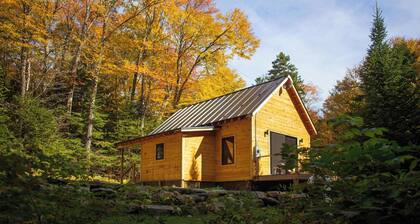 The Pines Cabin | New Tiny Home Near Mt Snow!