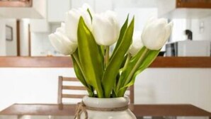 A white ceramic vase with green tulips on a reflective glass table in a kitchen with wooden cabinets.