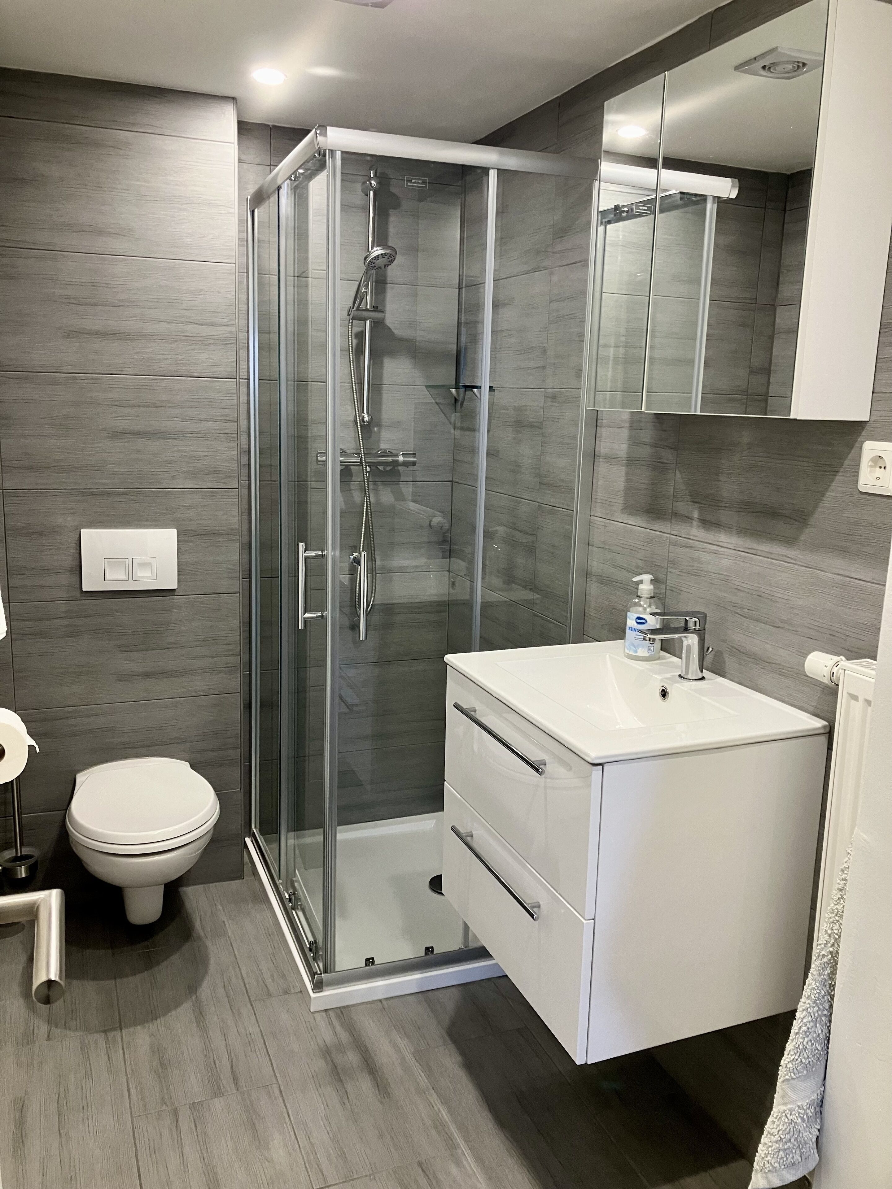 Dusche, Haartrockner, Handtücher, Toilettenpapier