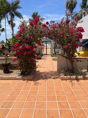 Enceinte de l’hébergement