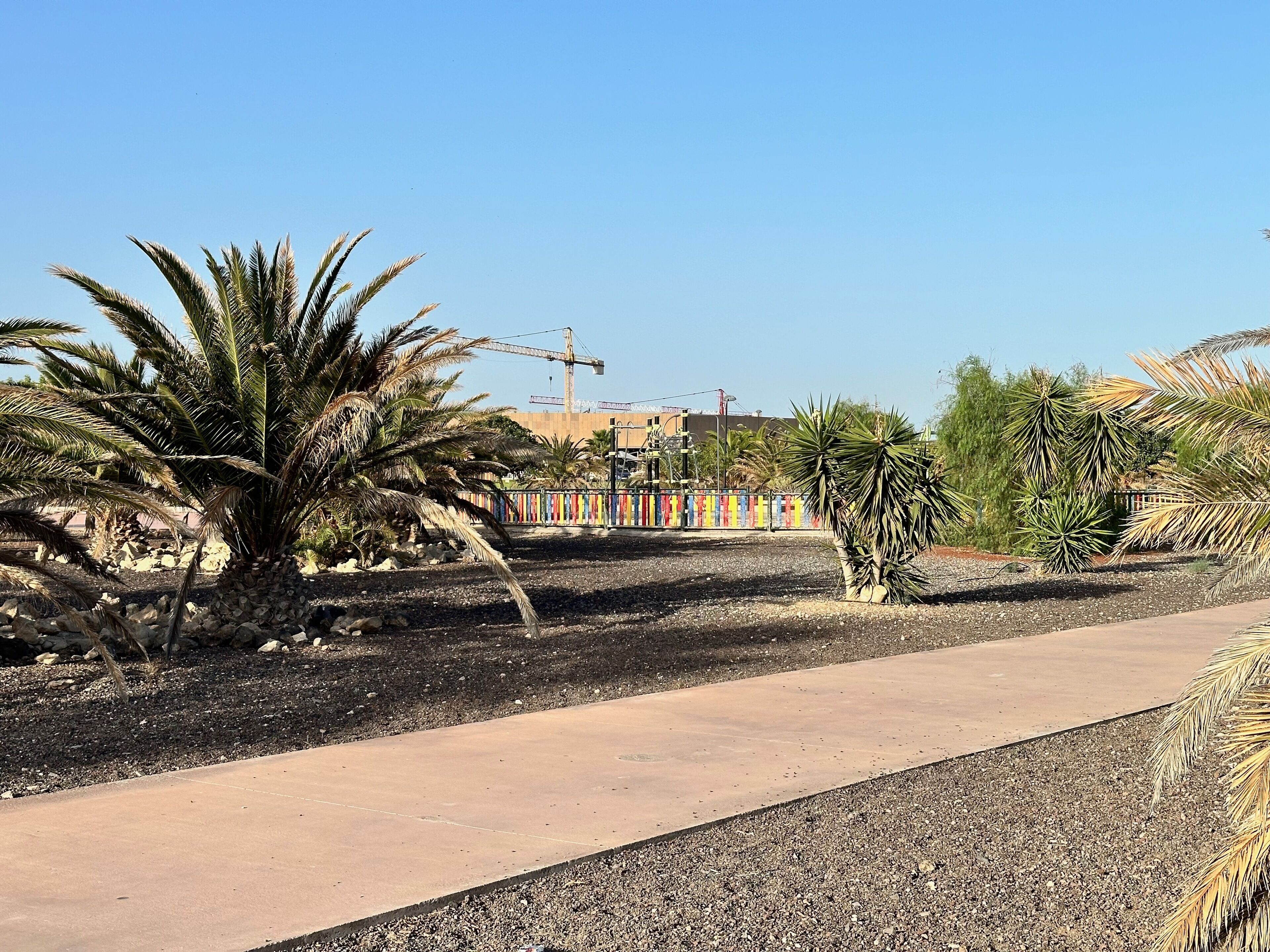 A pathway lined with palm trees and a construction site in the background.