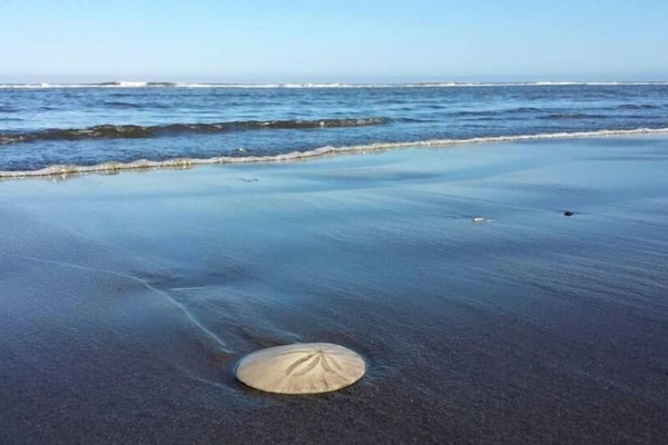 On the beach, white sand