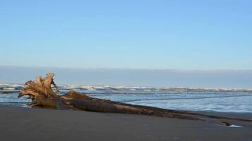 Sur la plage, sable blanc