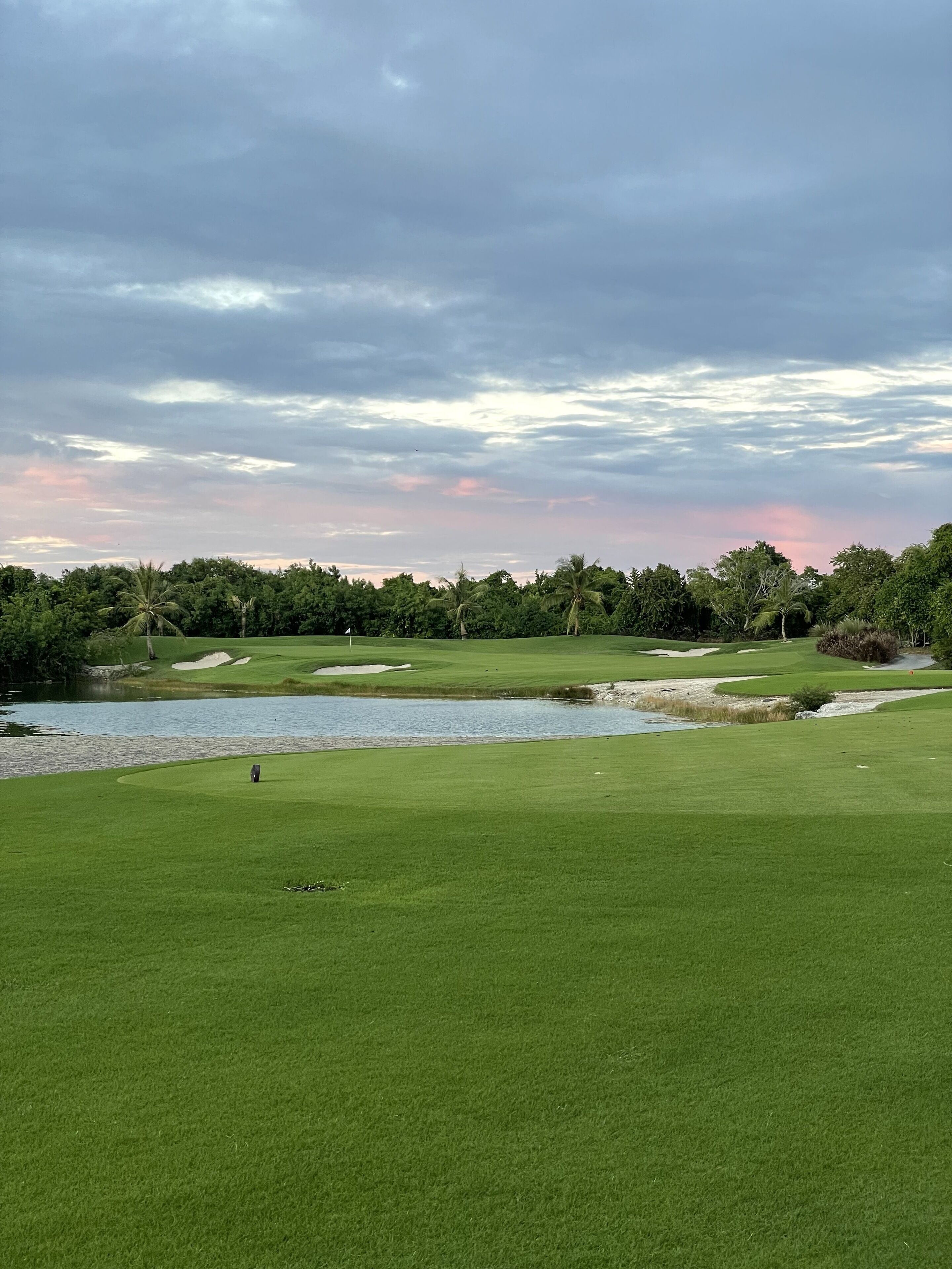 高尔夫球场景观