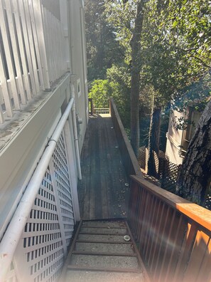Property grounds - Treetop Refuge
 (Oakland)