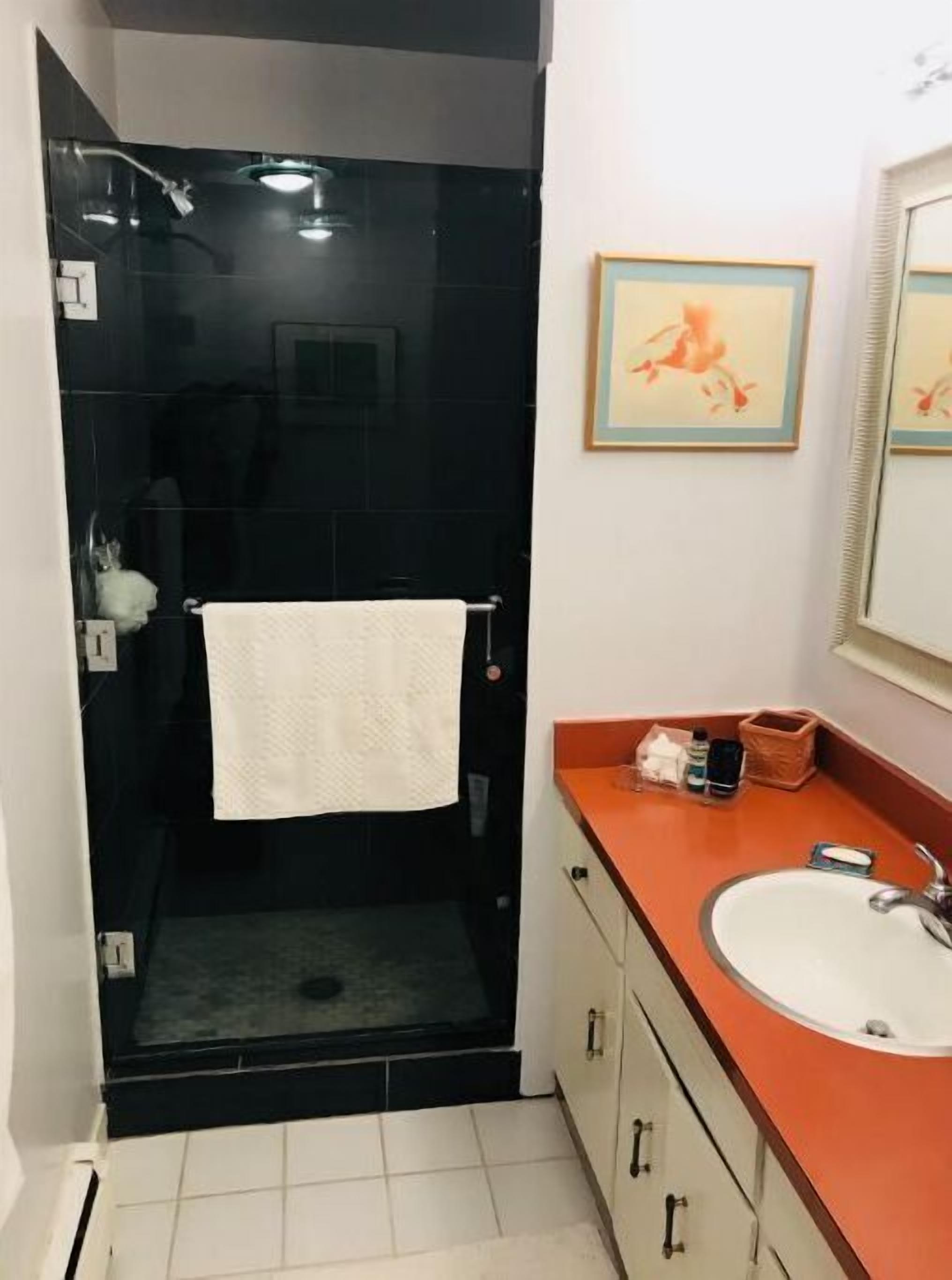 Un baño con ducha de vidrio, un lavamanos blanco y un espejo.