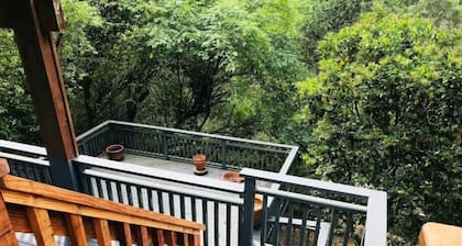 Treetop Refuge