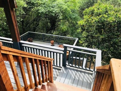 Treetop Refuge in Oakland Hills
