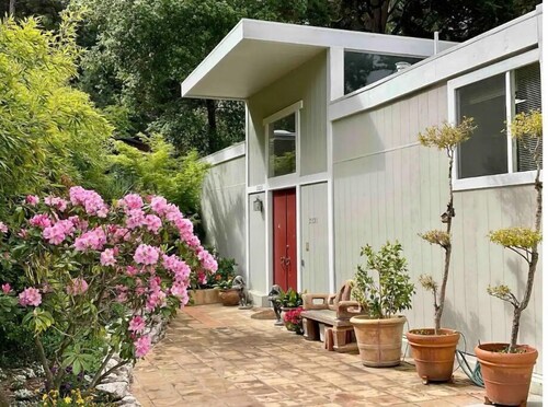 Treetop Refuge in Oakland Hills
