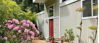 Treetop Refuge in Oakland Hills
