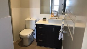 Combined shower/tub, hair dryer