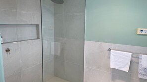 Combined shower/tub