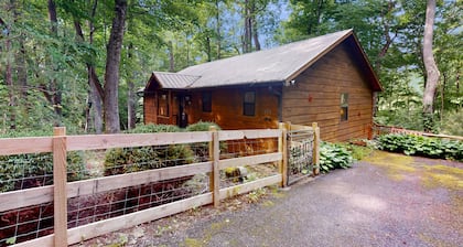 Rustic charmer w/ mountain views, fireplace, grill, yard-Dogs Welcome