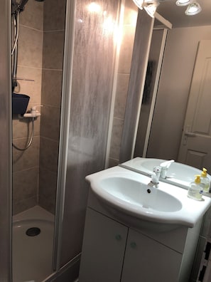 Chuveiro, secador de cabelo, toalhas de banho, papel higiênico