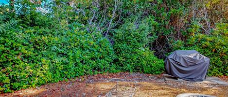 Terrain de lâhĂ©bergement