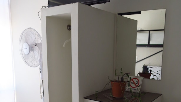 A small, compact room with a TV mounted on the wall, a fan, and a mirror. There are two shelves with potted plants and a sign indicating no smoking. - Hotel Llanito (Aguascalientes)