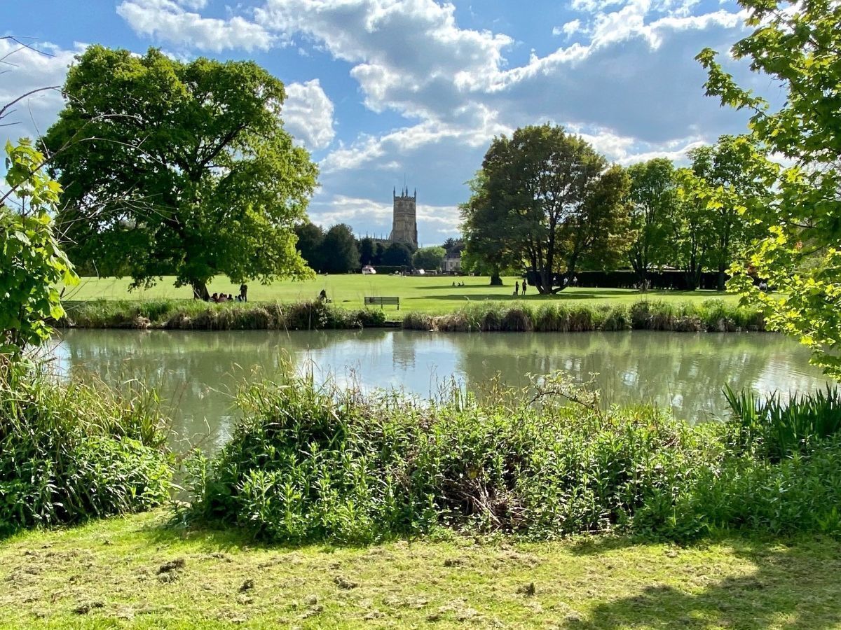 Een rustig park met een vijver, weelderige begroeiing en een toren in de verte.