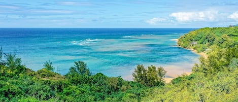 海滩