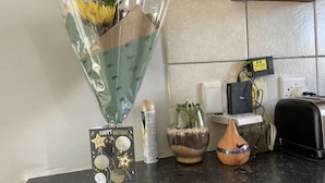 A kitchen counter with a birthday card, a bouquet of flowers, and two potted plants. - On a golf estate with Mountain views.
4km from the Beach (Cape Town)