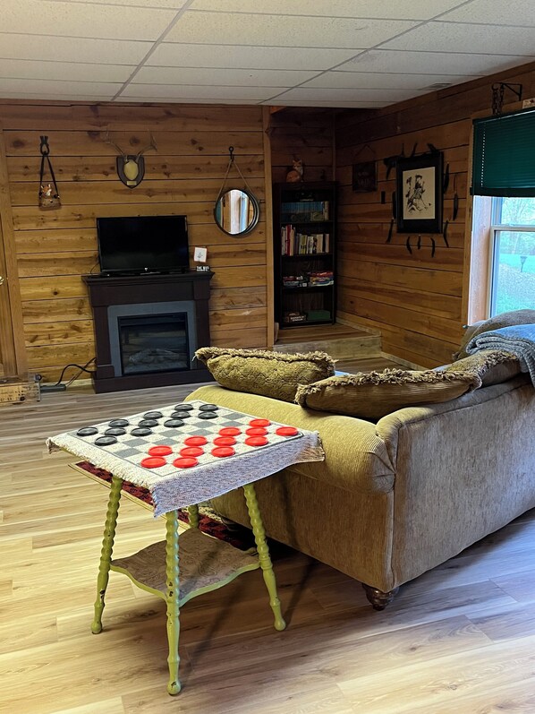 Smart TV, fireplace, books