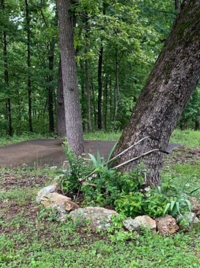 Relax in the Ozark woods at a quiet nature retreat with a private walking trail.