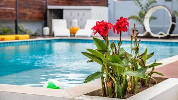 Piscina com cerca de madeira, cadeiras de descanso e um canteiro com flores vermelhas.