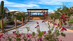 A pathway leading to a covered area with a view of the sky, surrounded by cacti and flowering plants. - PERFECT OASIS with private beach, golf course, kayaking, snorkeling +more (Loreto)