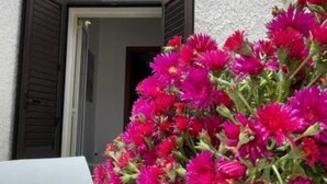 A white table with a bouquet of vibrant pink flowers placed on it, positioned in front of a building with a textured exterior and a door with dark shutters. - 3 Bedroom Apartment in Palermo (Palermo)