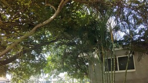 Un bâtiment doté d’une petite fenêtre et d’une porte, entouré d’une végétation luxuriante et d’arbres.