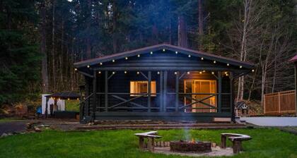 Hot Tub, King Bed, EV Charger 5 MI to Mt Rainier