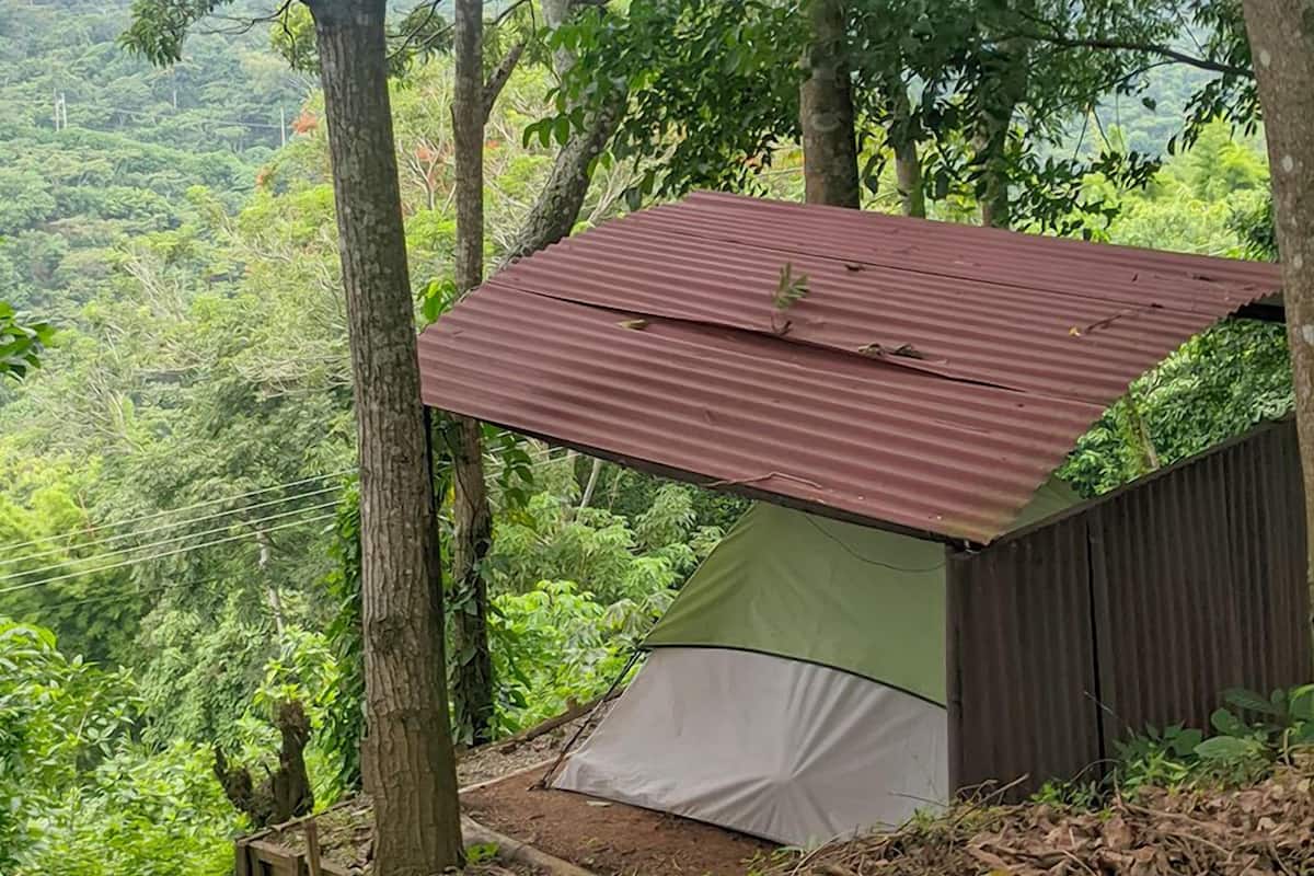 Basic Tent, Non Smoking, Mountain View | Bed sheets