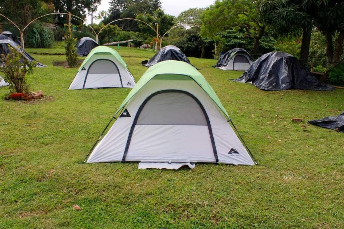 Basic Tent | 6 bedrooms, bed sheets