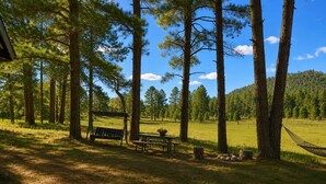 A forested area with a picnic table, bench, hammock, and a swing set. - Quiet Escape for Hunters & Family Retreats! (Alpine)