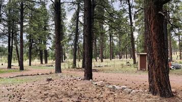 Parco della struttura