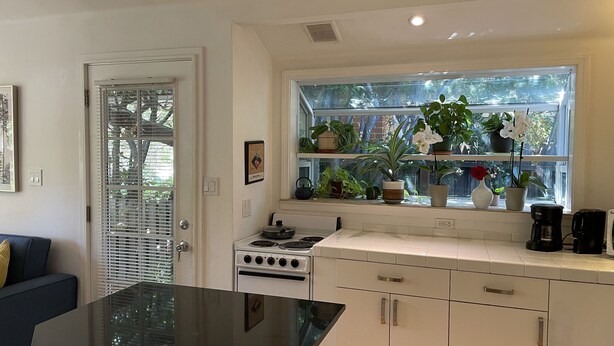 A modern kitchen with white cabinets, a stove, and a window with plants.