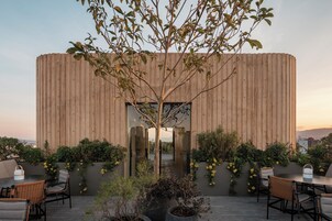 Un espace extérieur aménagé en terrasse, avec un mur en bois, des sièges et des plantes en pot.