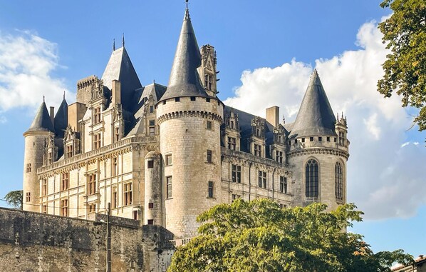 Un château historique doté de nombreuses tours et d’un mur d’enceinte fortifié.