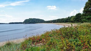 A coastal landscape with a sandy beach, dense greenery, and a small hill in the distance.