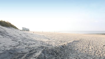 Vlak bij het strand, vissen