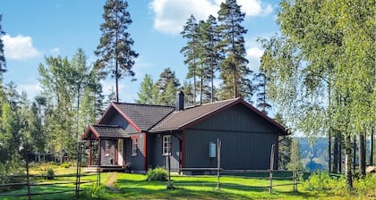 Nice home in Gunnarskog with lake view