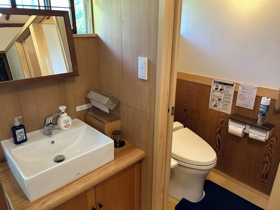 A compact bathroom with a white sink, a toilet, and a mirror. There are hygiene products on the sink and a small shelf with a bottle and tissues.