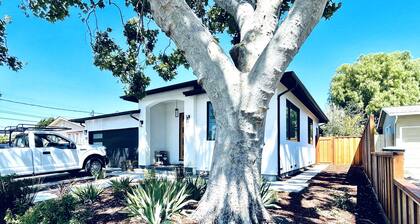 Sunnyvale Cozy New 3B3b home/Gogle/speed WiFi