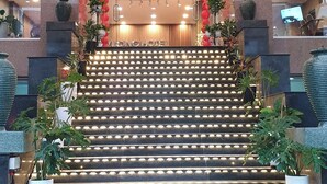 Een hotelingang met een trap naar de lobby, omzoomd door potplanten en decoratieve elementen.