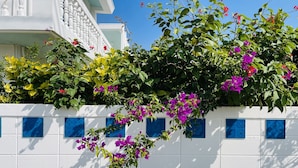 A white building with blue decorative tiles and flowering vines. - AZZURRA (Miyakojima)