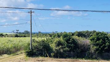 Superior Cottage | Pemandangan balkoni