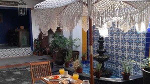 Un patio con una mesa lista para el desayuno, rodeado de plantas en macetas y una fuente decorativa.